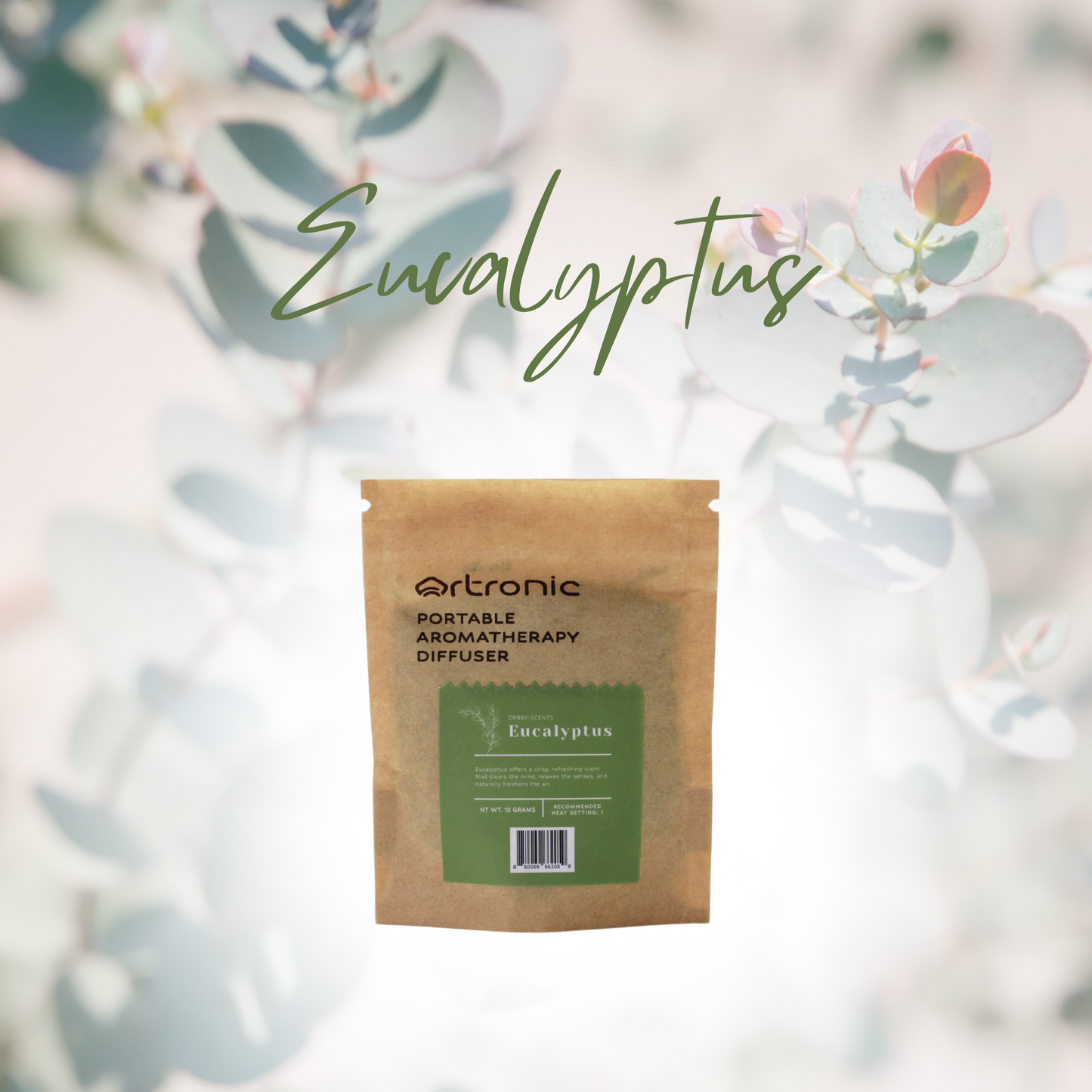 Orbby Aromatic Wood Refills – 10g - Eucalyptus