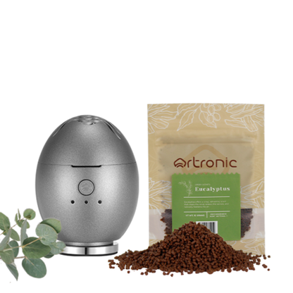 Orbby Aromatische Holz-Nachfüllpackungen – 10 g – Eukalyptus