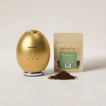 Orbby Aromatic Wood Refills – 10g - Eucalyptus