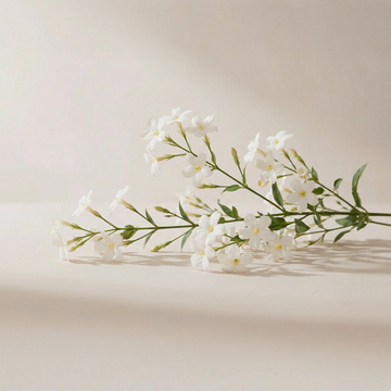 Orbby Aromatic Wood Refills – 10g - Jasmine