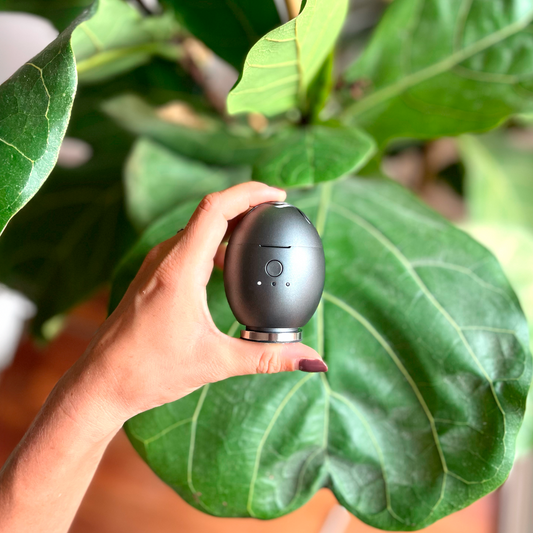 Orbby Aromatherapy Diffuser – Standard / Luxury Edition - Silver/Gold